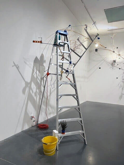 Werner Ladder Features in Tate Modern Art Installation  